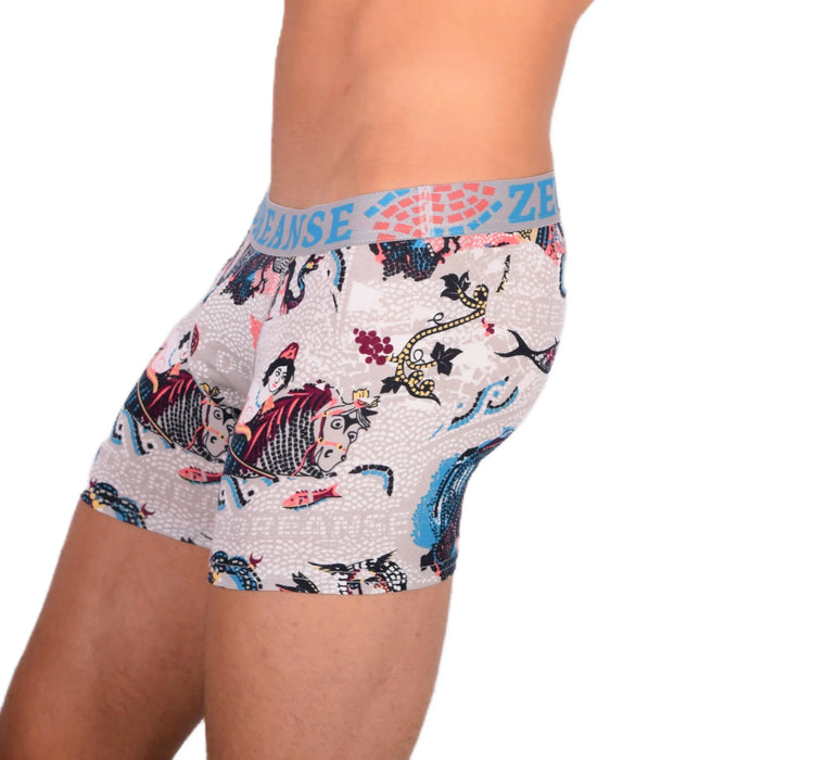 DOREANSE Boxer Poseidon Long Mens Boxers Trunk 1806 8