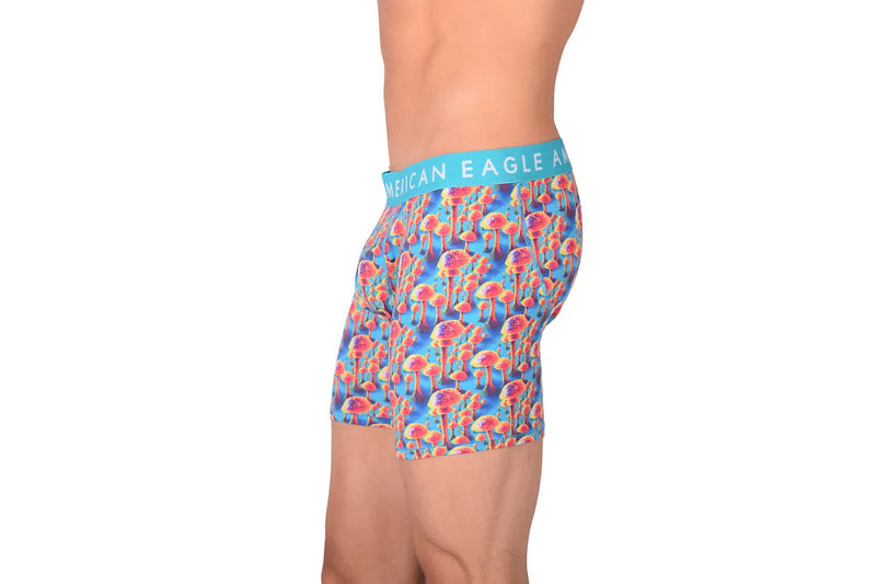 American Eagle Mushroom Print Fly Front Boxer Brief AE1