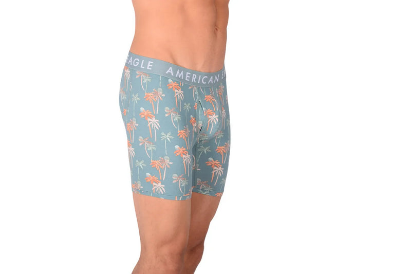 Medium Boxer  American Eagle With Fly Front Palm Trees AE1