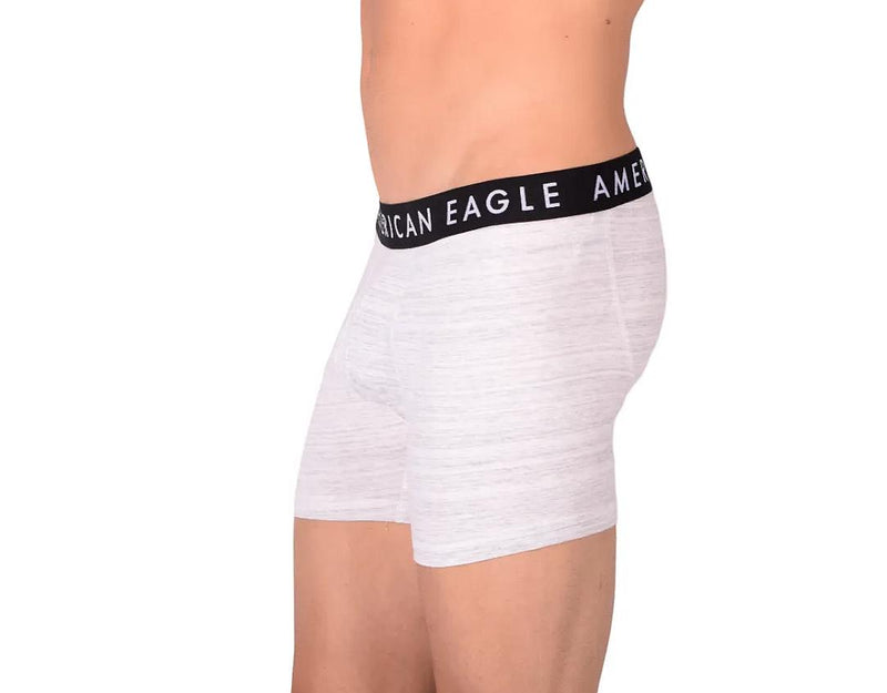 Large American Eagle Fly Front Long Boxer Brief  AE1