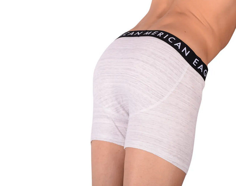 Large American Eagle Fly Front Long Boxer Brief  AE1
