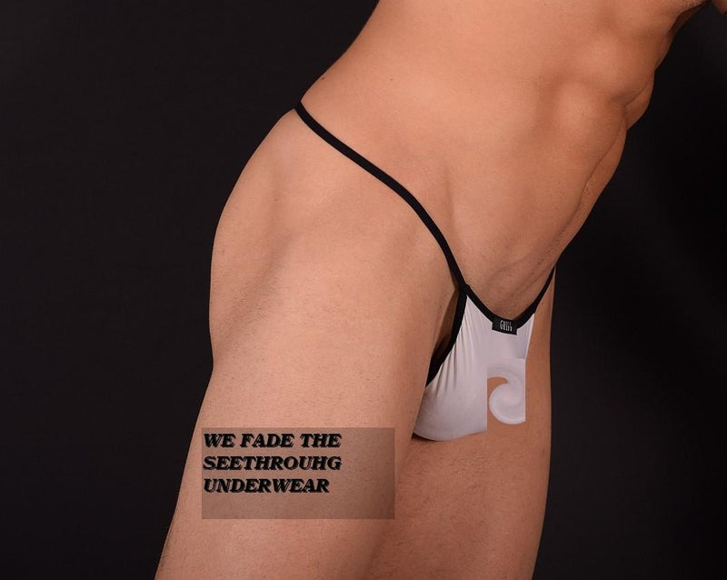 Small Gregg Homme Sheer White G-String 22B