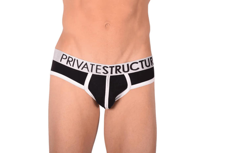 Small Private Structure Platinum Black Brief 3791