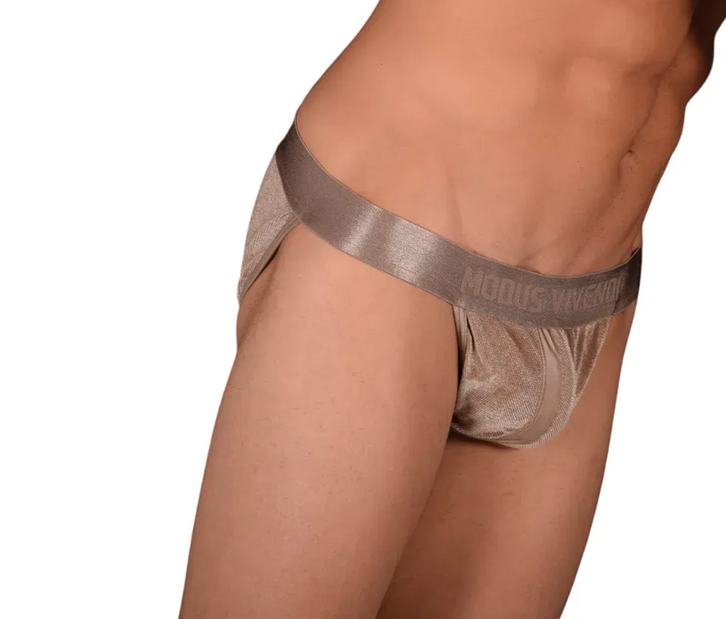 Small Modus Vivendi Golden Brief 154B
