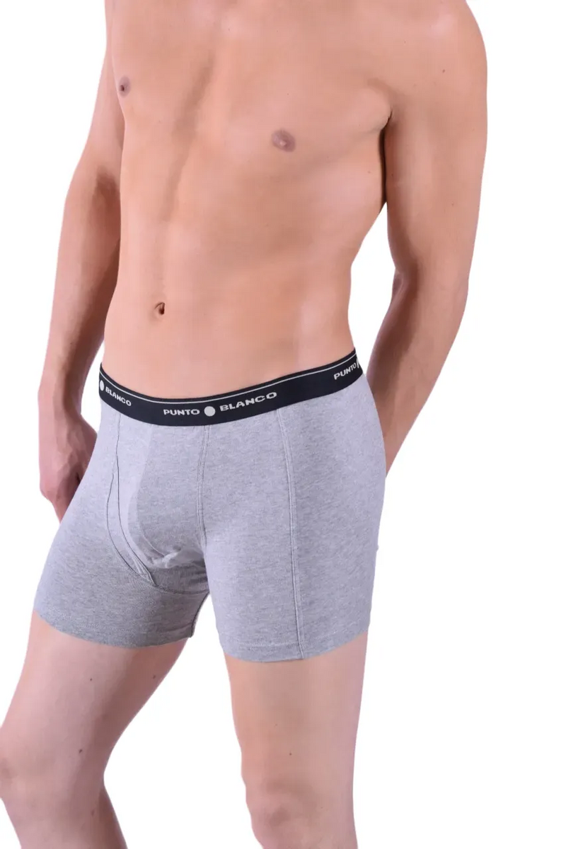 Punto Blanco Boxer Anatomic Cotton Open Fly Gray Black Band 3393 24