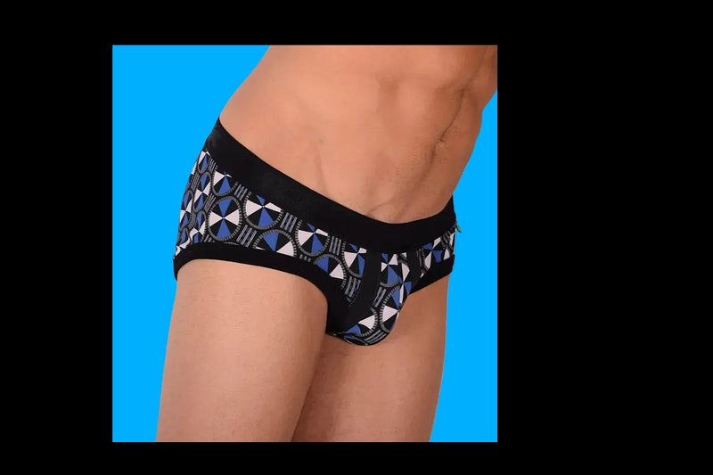 Large Duo-Pack Two Brief Gregg Homme 3G Dynamo Briefs 56603 73A