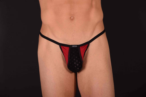Large Gregg Homme Sky G-String 3058 C22