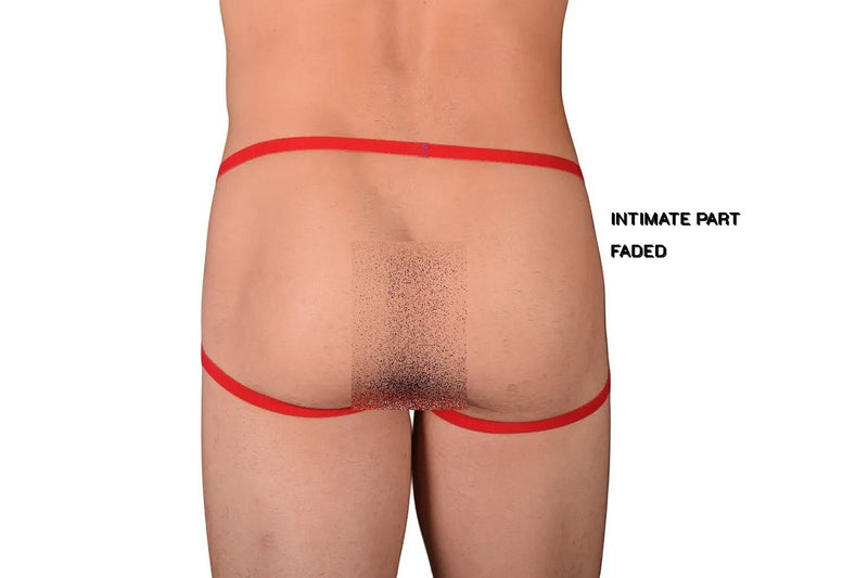 Medium Gregg Homme Party Jock Royal Red 3058 C22