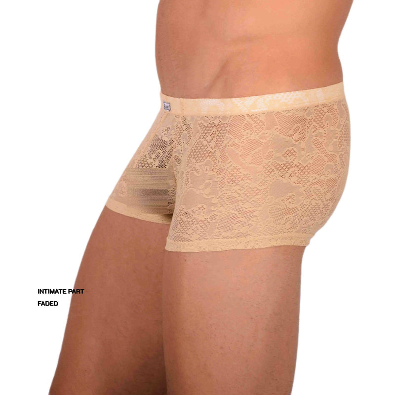 S SMU Sexy C-Thru Sand Lace Mini Hipster 33828 MX17