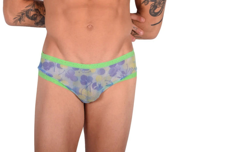 Small SMU Feminine Brief Slip See-Through Lace Colorful Fabric 65018 33
