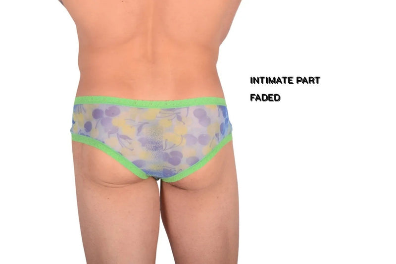 Small SMU Feminine Brief Slip See-Through Lace Colorful Fabric 65018 33