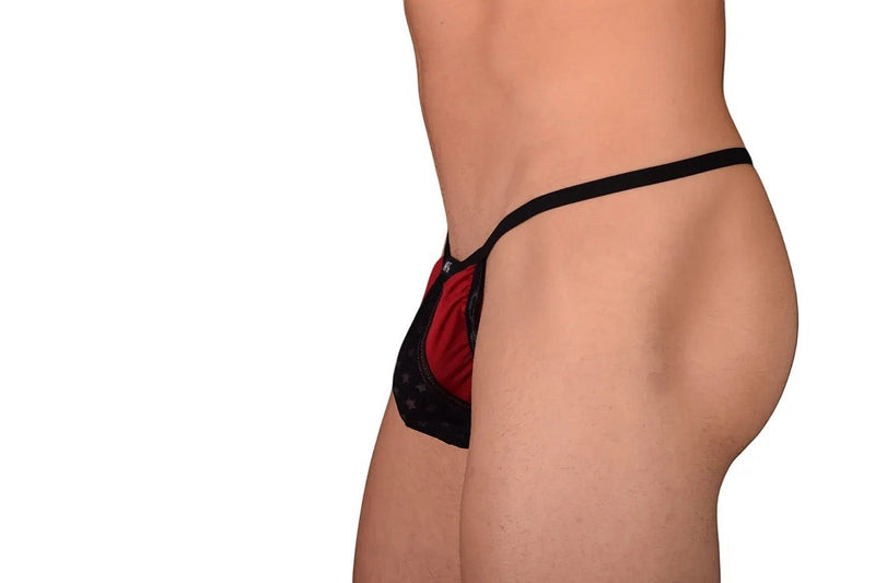 Large Gregg Homme Sky G-String 3058 C22