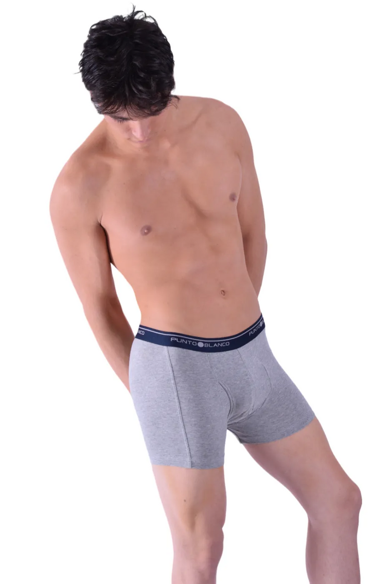 Punto Blanco Boxer Anatomic Open Fly Gray Blue Band 3393 23
