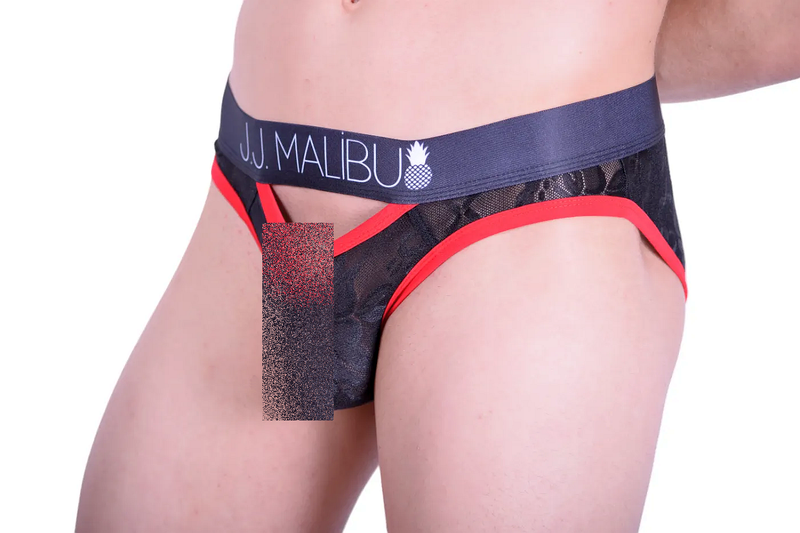 Brief JJ Malibu Slips Peep show Underwear Sheer Mens Briefs LACE 3