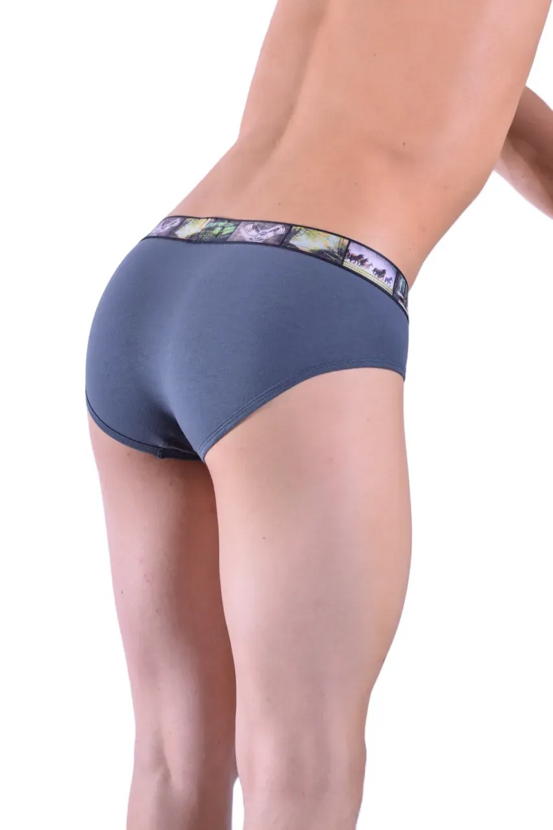 Punto Blanco Brief Land Forest Briefs Sustainable Cotton Gray 3434 15