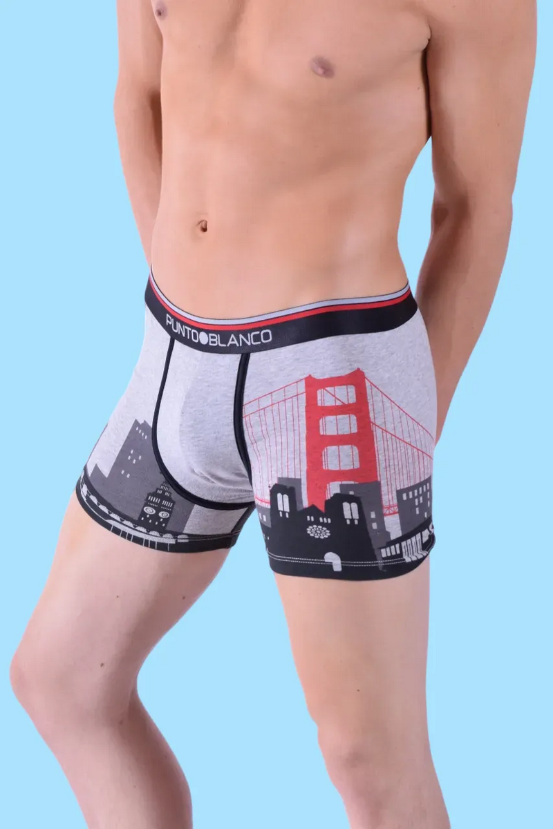 Punto Blanco Boxer San Francisco Cities Long Boxers Grey 3437 8
