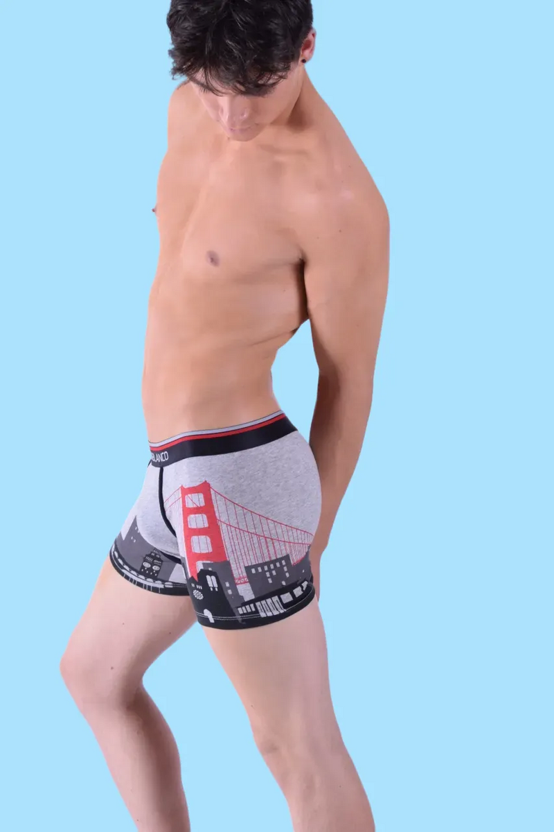 Punto Blanco Boxer San Francisco Cities Long Boxers Grey 3437 8