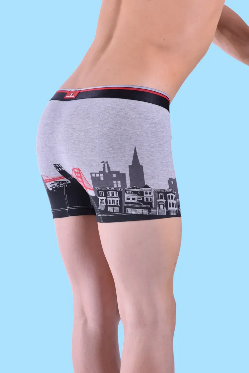 Punto Blanco Boxer San Francisco Cities Long Boxers Grey 3437 8