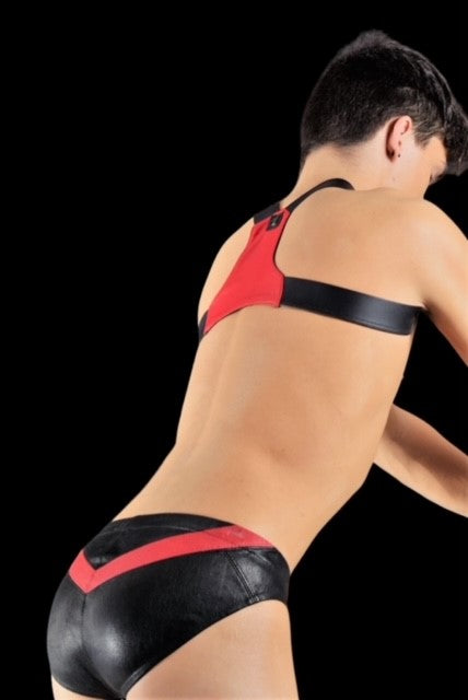 Large SMU Leather KIT Brief Harness Black Red 525965 MX9