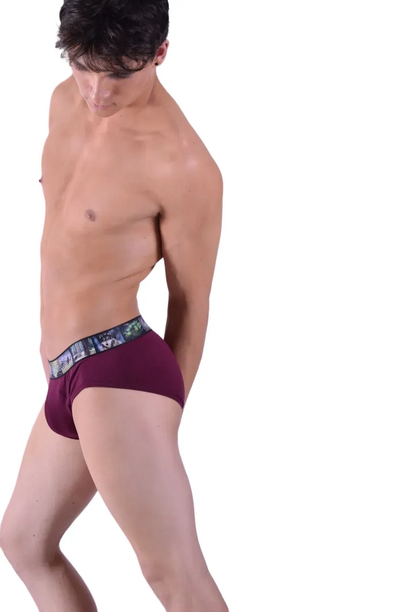 Punto Blanco Brief Land Forest Briefs Sustainable Cotton Red 3434 15