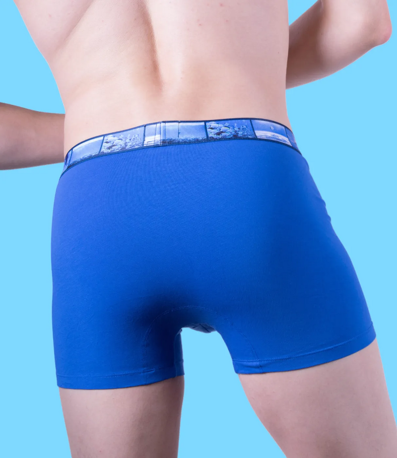 Punto Blanco Boxer Water Seas Boxers Organic Cotton Blue 3388 11