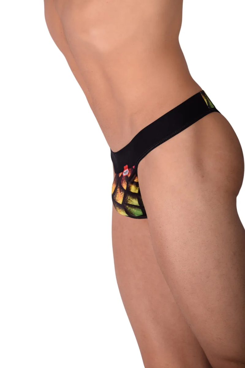 PIKANTE Rainbow Thong Super Stretch Microfiber Sleek Fits Thongs 0829 3