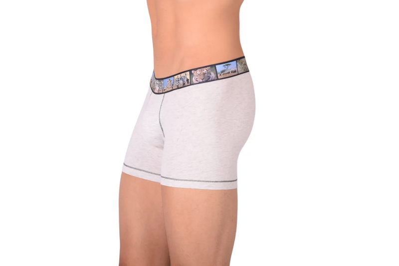 Small Punto Blanco Boxers Grey 3390 TAB8