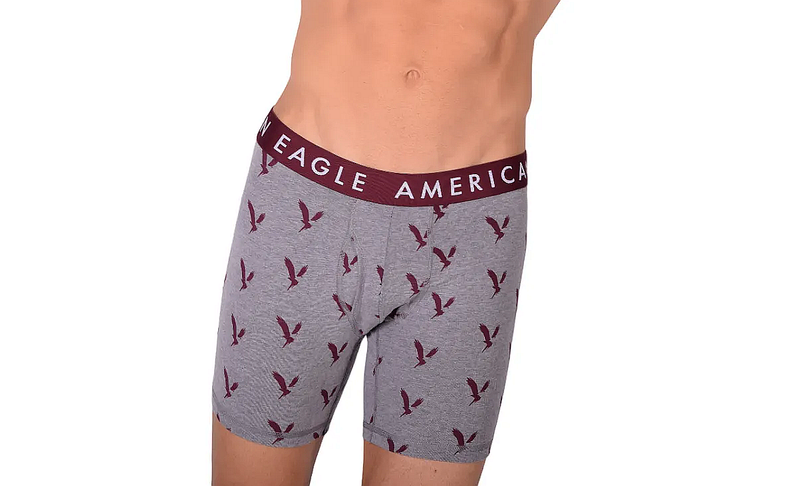 American Eagle Grey Eagles Fly Front Boxer Brief AE1