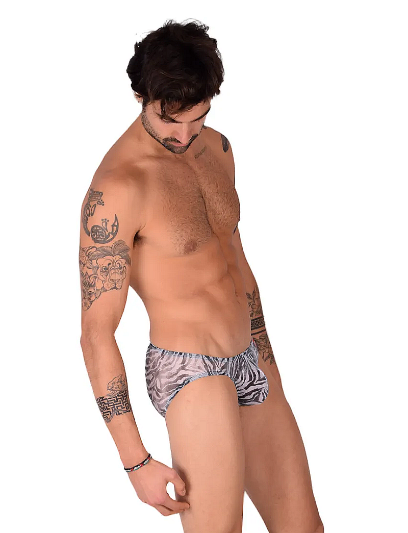 PIKANTE Erotic Briefs Low-Rise Lean Cut Stetch Brief Microfiber 0503 4