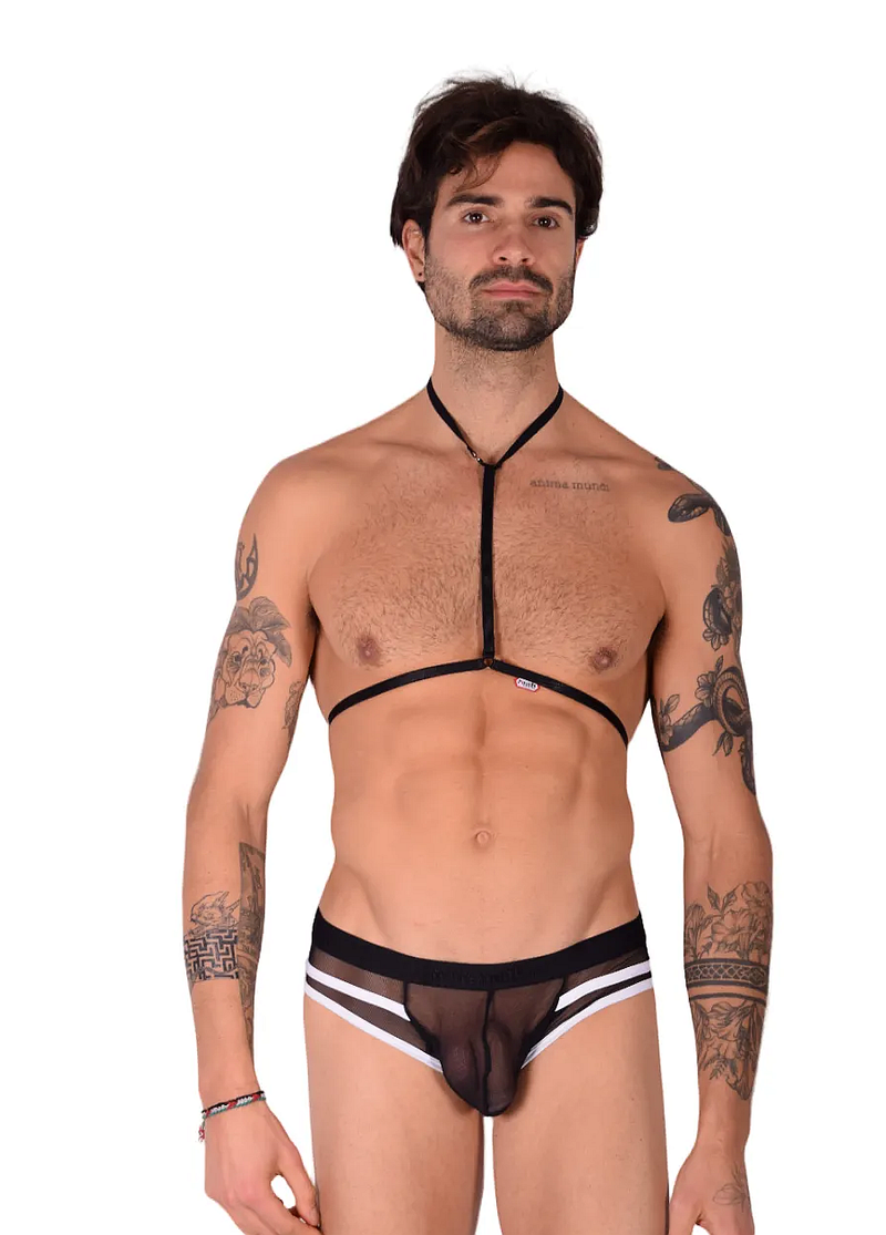 PIKANTE Harness HOT Briefs Low-Rise Stretch See-Through Brief Black 0495 1