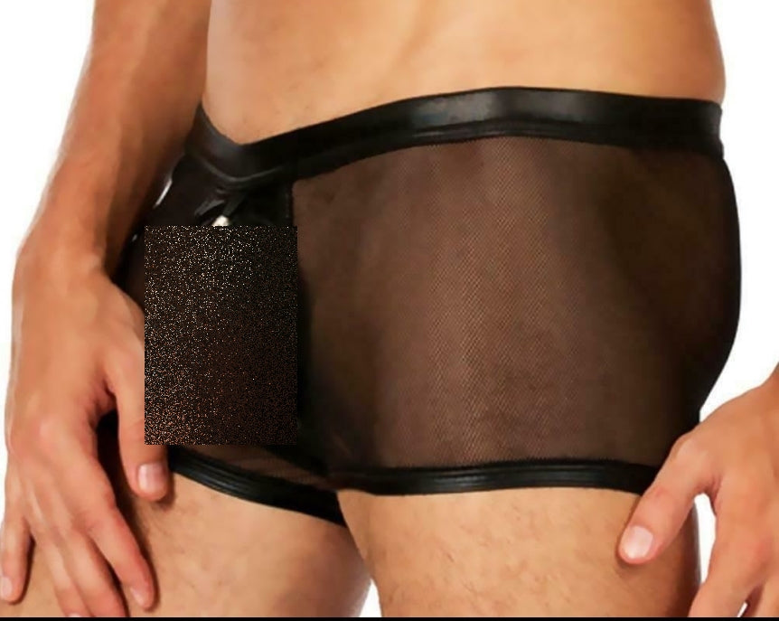 XS Gregg Homme Briefs Forbiden Zippered See-through Brief 87105 146