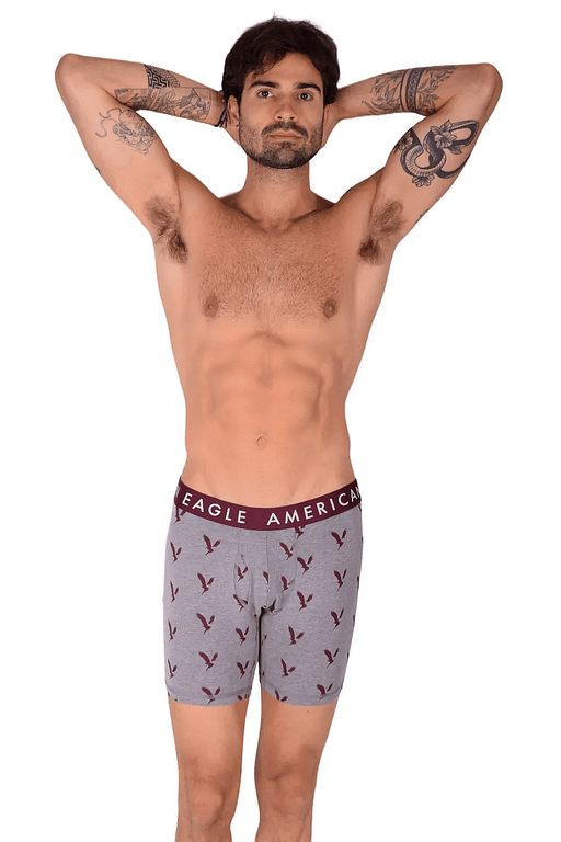 American Eagle Grey Eagles Fly Front Boxer Brief AE12