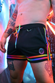 BREEDWELL Pure Pride Shorts Zippered Pockets Fully Lined Rainbow Short 462