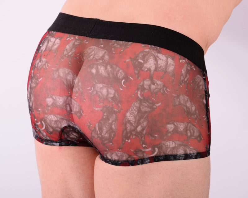 Gregg Homme Boxer Charger Mesh See trough Trunk Horseshoe 133005 1302