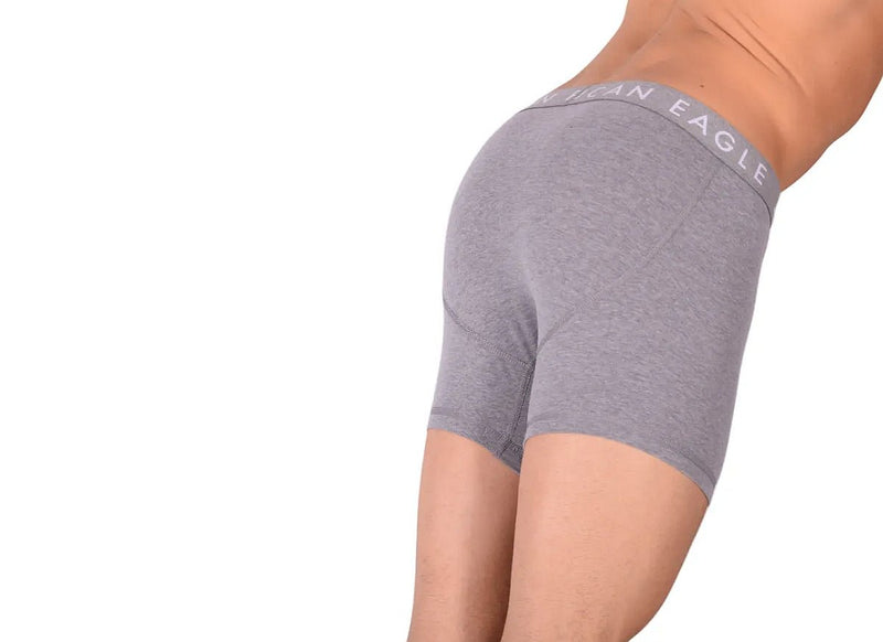 Medium Long Boxer American Eagle Fly Front Boxer Brief Grey AE12