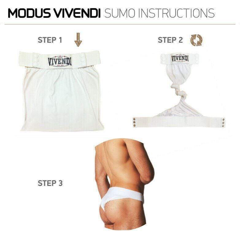 Modus Vivendi Brief Sumo Brief Customizable Briefs Aqua 16512 275