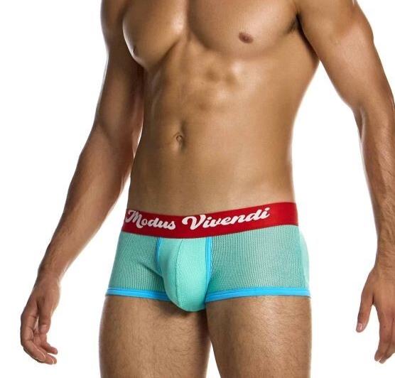 Modus Vivendi Retro Boxer Semitransparent Micro Fishnet Cotton in Mint 05521 1932