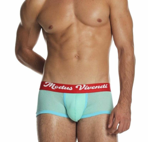 Modus Vivendi Retro Boxer Semitransparent Micro Fishnet Cotton in Mint 05521 1931
