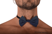 MR. RIEGILLIO Beautiful Bow Tie BLUE 11