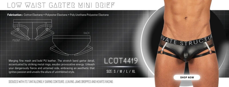 PRIVATE STRUCTURE Low Waist Mini Garter - Briefs Alpha PU Leather Shades Black 4419 1088