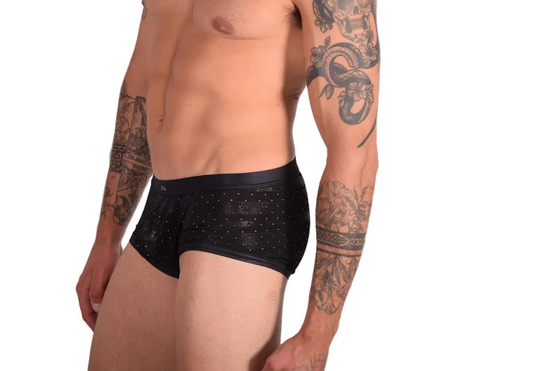 Gregg Homme Adonis Boxer Briefs 1100 11-36