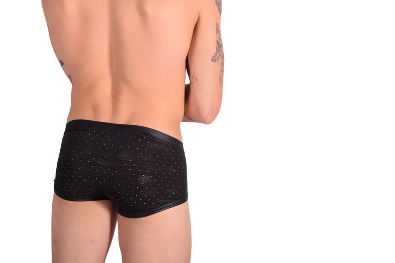Gregg Homme Adonis Boxer Briefs 1100 11-36