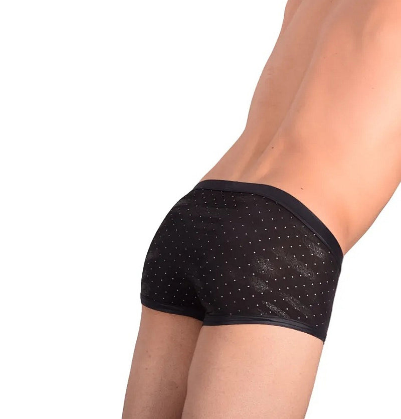 Gregg Homme Adonis Boxer Briefs 1100 11-36