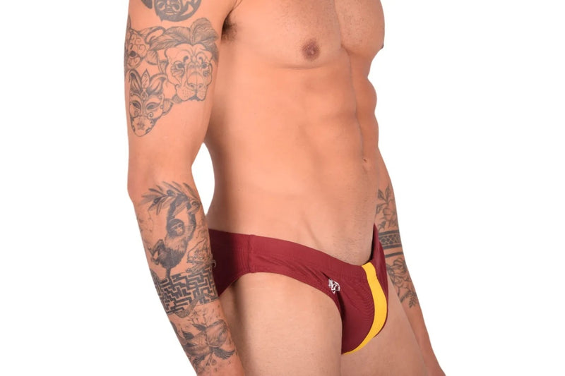 Marcuse Manifest Swimsuit Brief Burgundy 10218 2