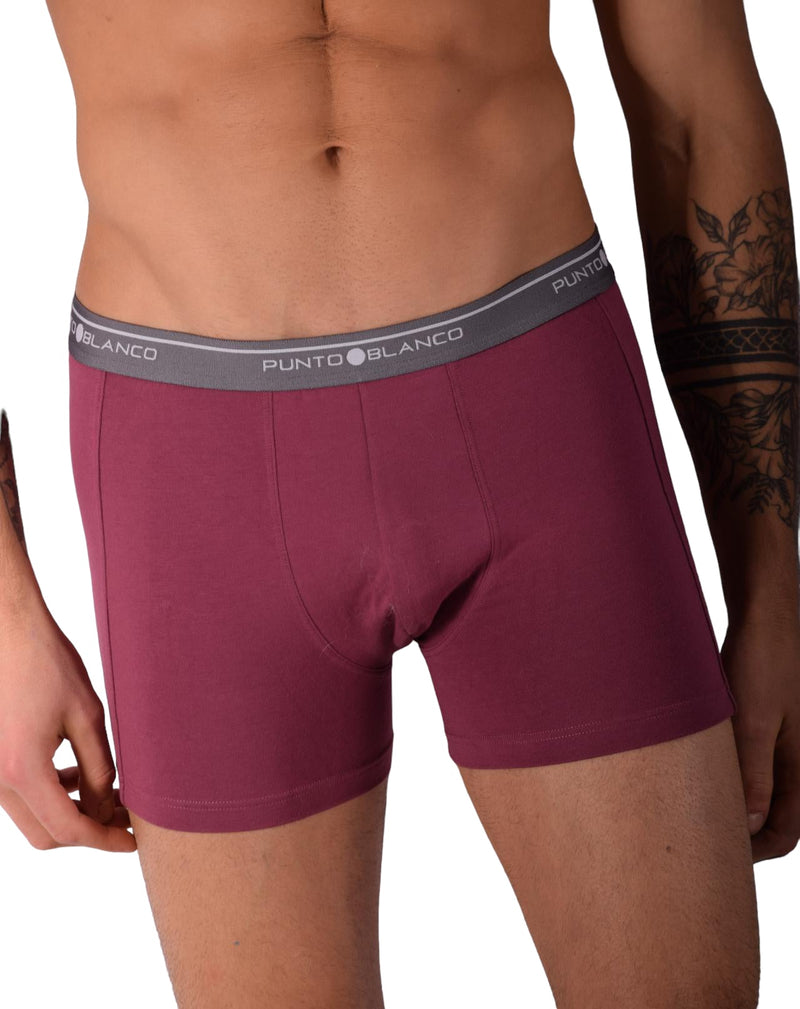 Small Punto Blanco Basics Short Boxer Burgundy 53438 Pu196