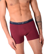 Small Punto Blanco Basics Short Boxer Burgundy 53438 Pu364