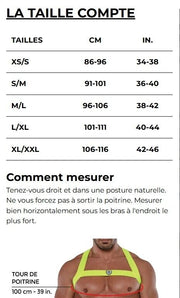 TOF PARIS Glitter Bulldog Elastic Harness Lurex Trim H - Shaped Sparkle Gold 535