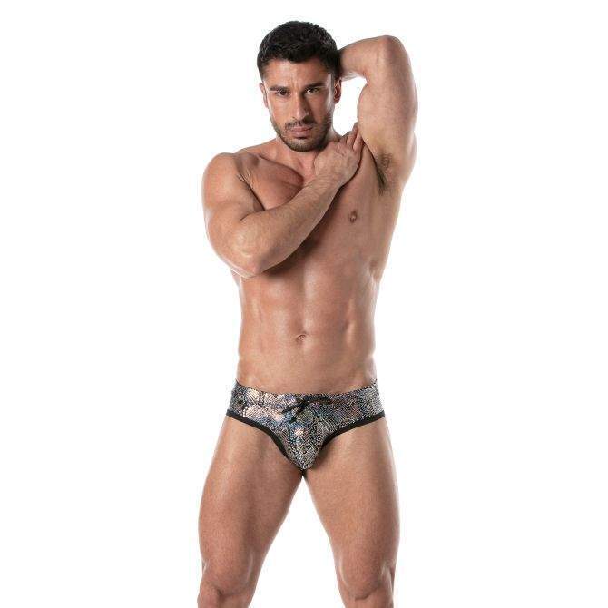 TOF PARIS Swimwear Splendid Premium Swim Briefs Drawstring Silver