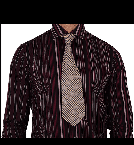 Valentino Chic Men's Neckties 100% Silk 58'' Long V12