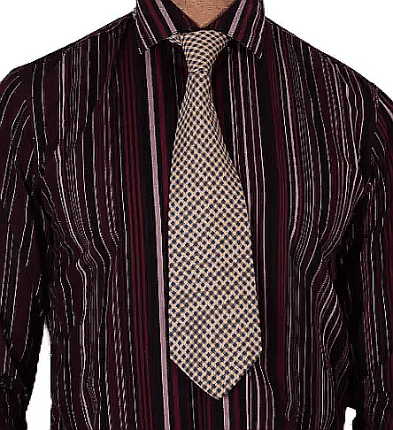 Valentino Chic Men's Neckties 100% Silk 58'' Long V13